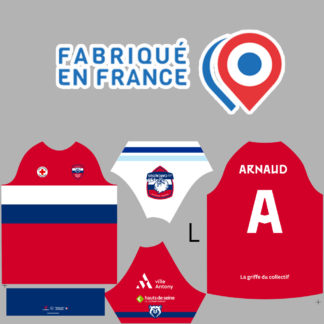 Maillot rugby sublimé Team MisteRugby ADULTE – modèle CARCAJOUS